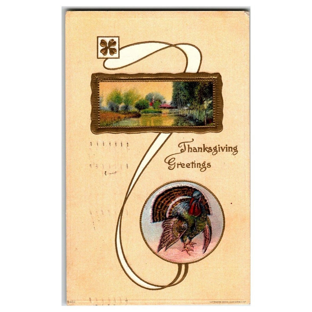 Vintage 1909 Thanksgiving Postcard Turkey Landscape John W Rana Posted Sioux